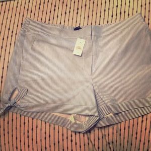 NWT Loft Searsucker shorts